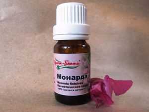 Монарда: разновидности, лечебные свойства, противопоказания, приготовление препаратов