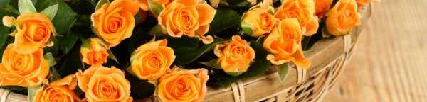 Миниатюрные розы: сорта с фото Обзор лучших видов, как выращивать розы миниатюрных сортов