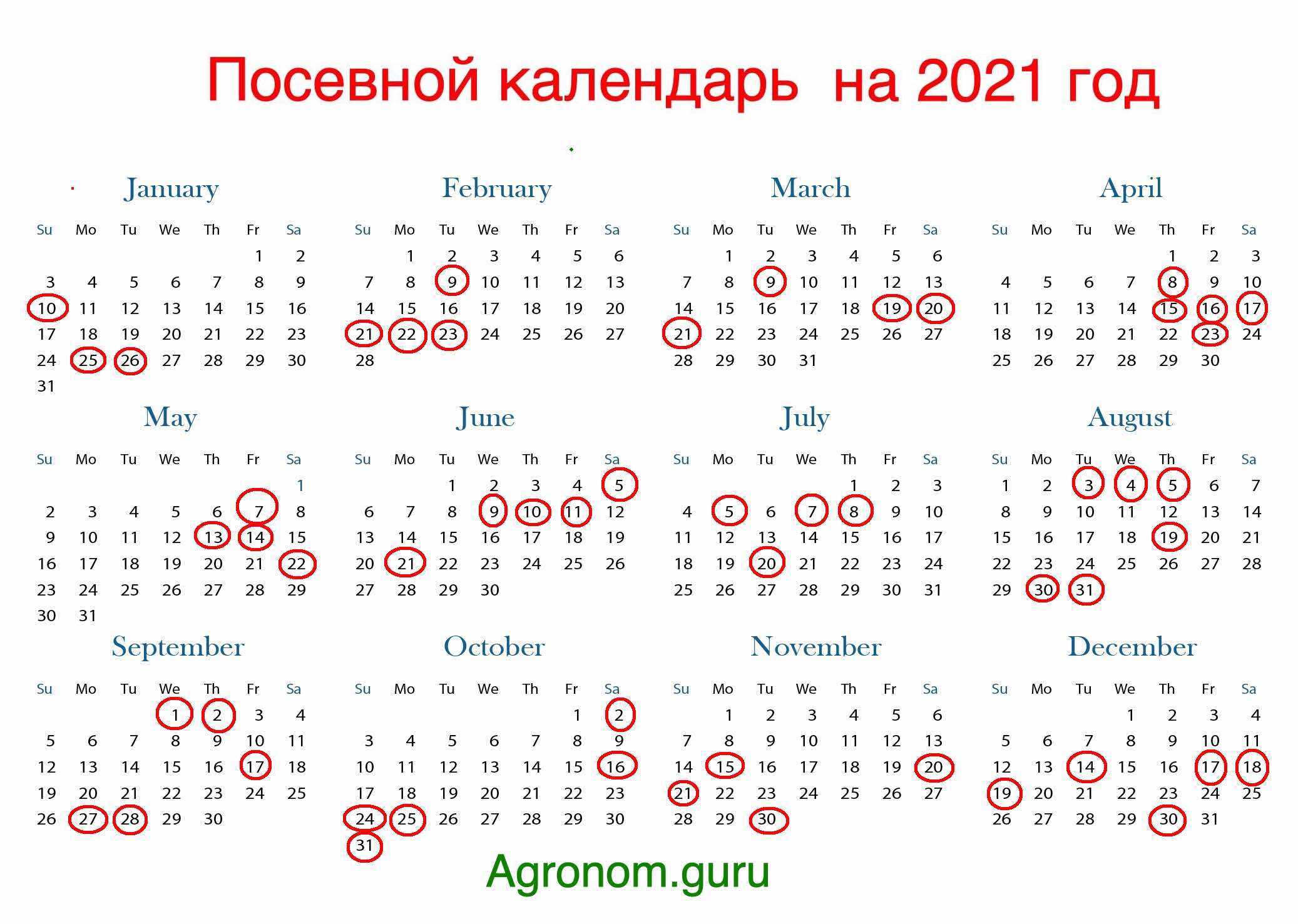 Когда следует сеять петунию на рассаду в 2021 году. рекомендации лунного календаря