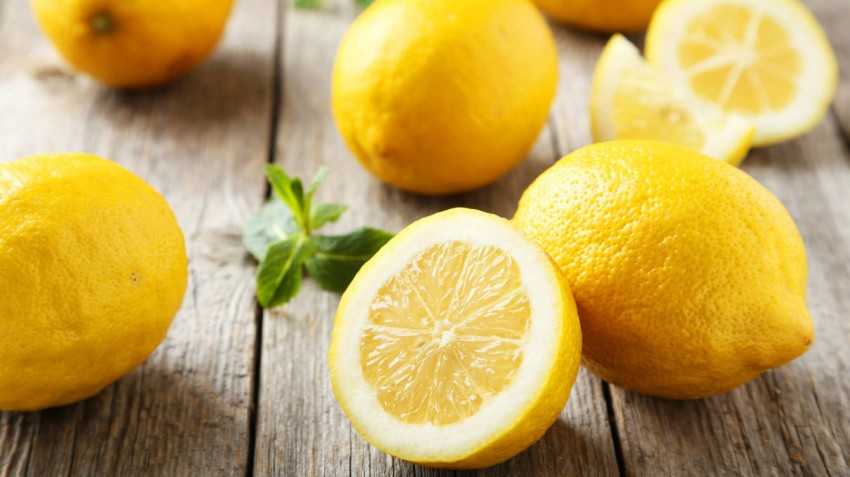 Как привить лимон в домашних условиях и прививка в расщеп (видео), где взять черенок и когда лучше прививать комнатный лимон
