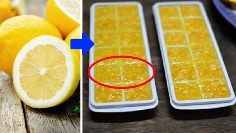 Как правильно хранить лимоны в домашних условиях – 5 надежных методов