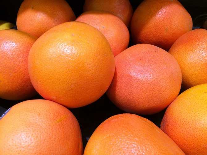 Лайм и лимон: чем отличаются эти фрукты, можно ли заменить одно другим или нет, в чем разница по вкусу, какой кислее, полезнее и лучше, дольше хранится, а также фотодача эксперт