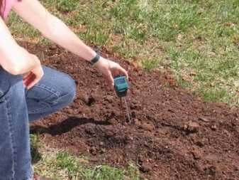 Кислотность почвы: типы почв, содержание ph, реакция среды