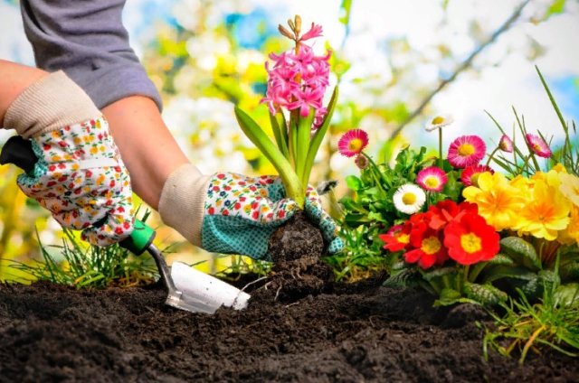 Что сажать на рассаду в марте 2021 года: календарь посадки цветов и овощей
