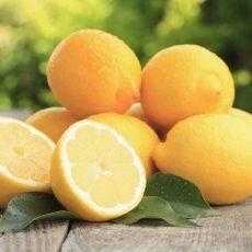 Как прививают лимон в домашних условиях чтобы он плодоносил