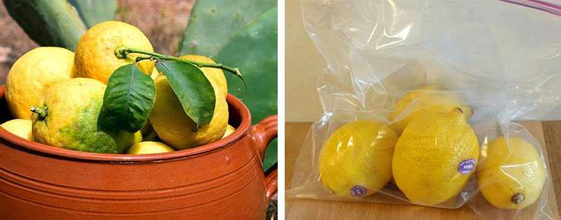 Как хранить лимон в домашних условиях Правила хранения, температурный режим Какие емкости подходят для хранения лимона Как правильно выбрать лимоны для хранения