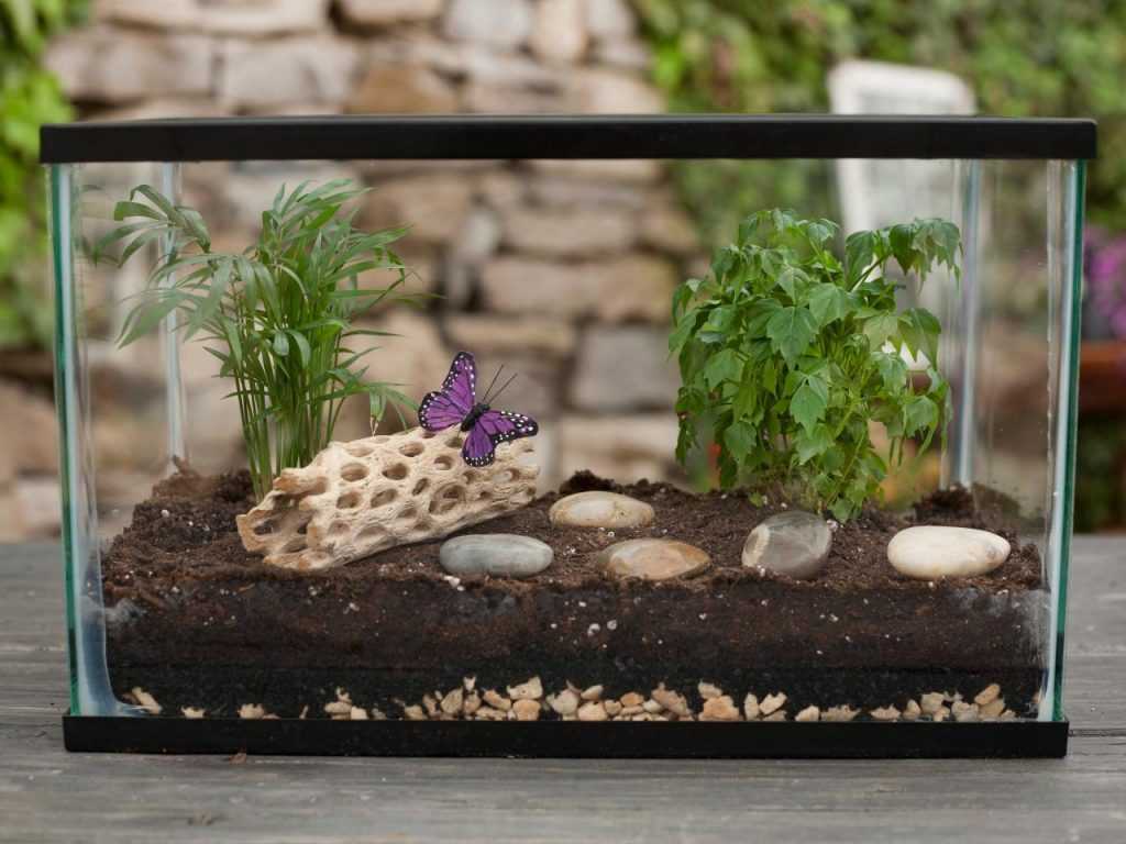 Флорариум с суккулентами (33 фото): как посадить цветы в аквариум из стекла? как сделать садик из суккулентов в стеклянной вазе своими руками?
