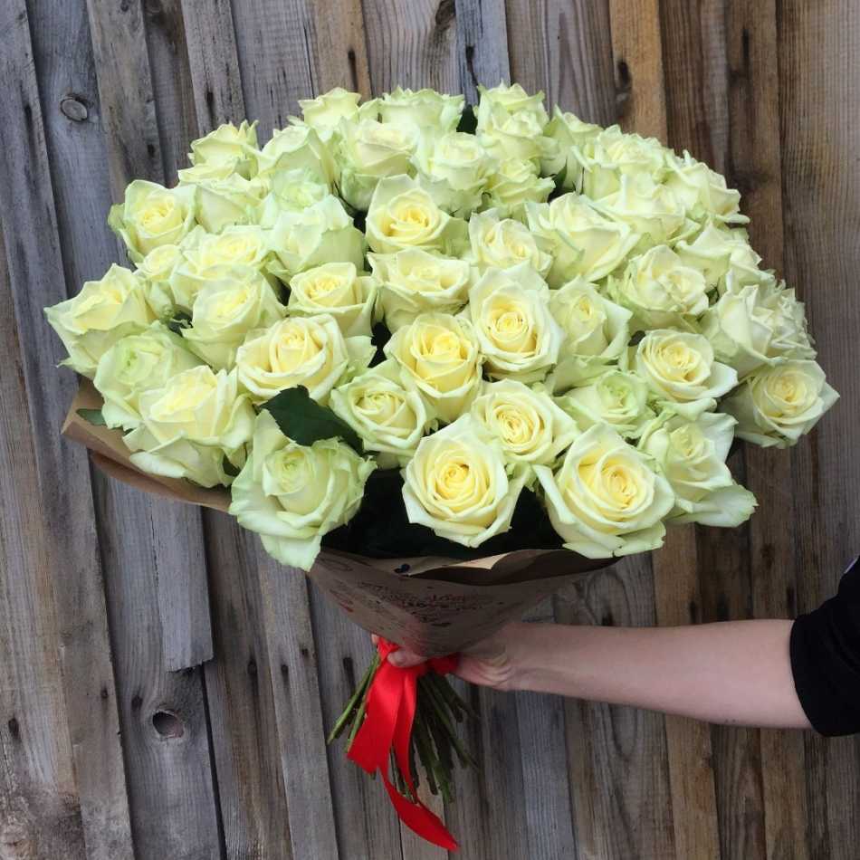 Цвета роз: значение и символика. когда и кому дарить белые, красные, желтые розы