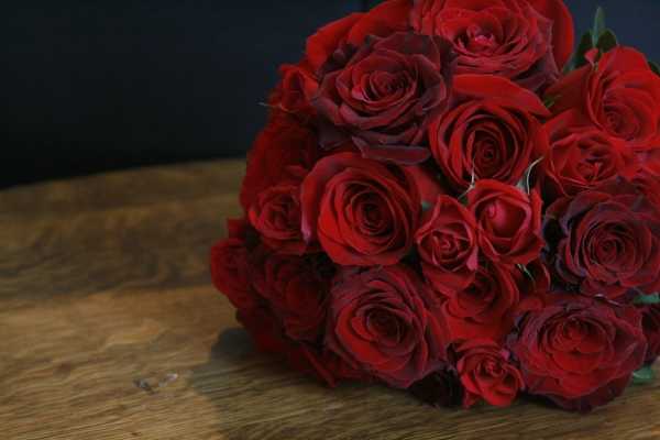 Язык цветов розы — что они символизируют