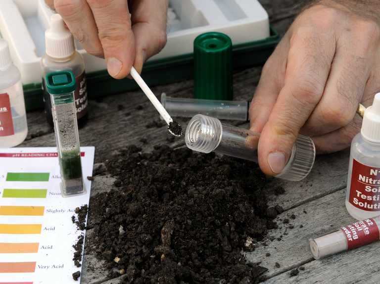 Кислая почва – что делать, какие удобрения вносить, сколько и когда. как проверить кислотность грунта