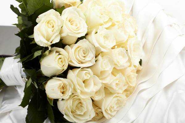 Когда дарят белые розы значение цвета на языке цветов