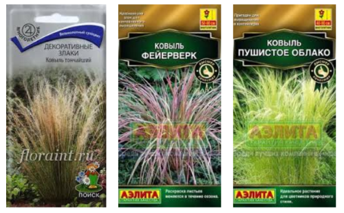 Ковыль: фото растения, описание и лечебные свойства - sadovnikam.ru