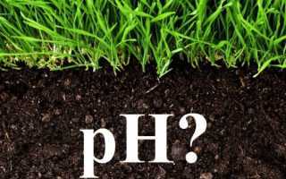 Как и чем раскислить почву на огороде весной и осенью: способы изменения ph грунта на участке