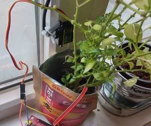 Системы автополива для комнатных растений своими руками