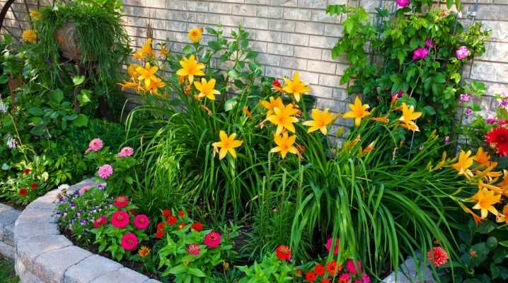Цветы многолетники для сада и дачи неприхотливые, долгоцветущие: фото и названия
