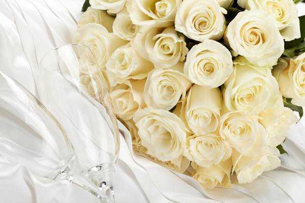 Что означают белые розы Что они символизируют Что значат красно-белые розы По какому поводу их дарят