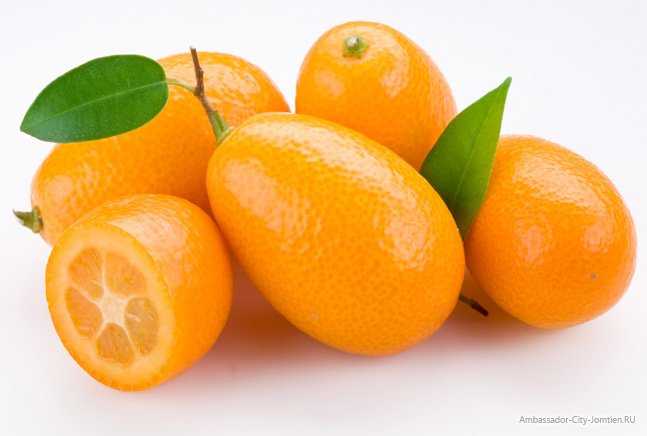 Чем отличается лайм от лимона по свойствам, вкусу и виду, это лимон или нет, что кислее, когда сезон лаймов