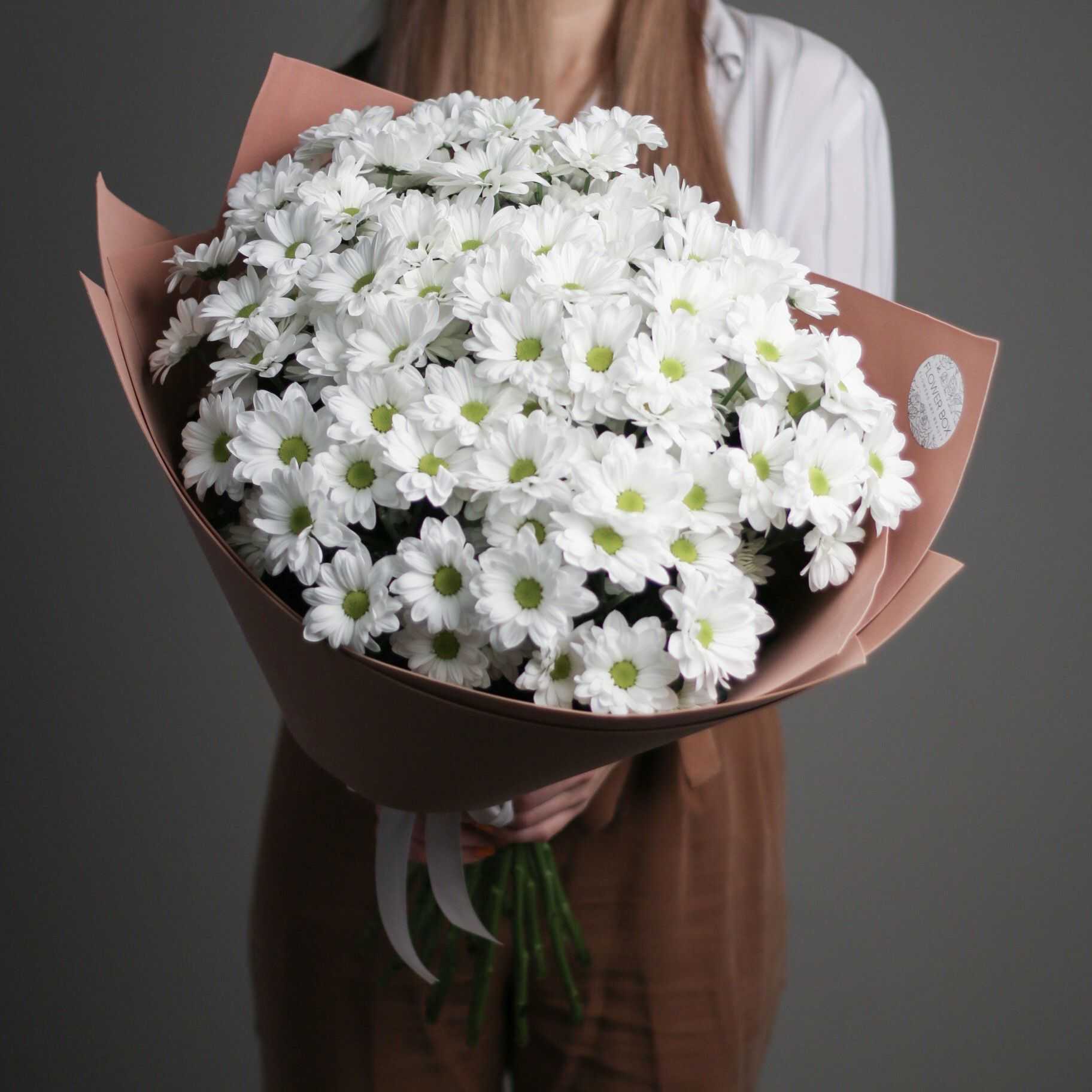 Белые хризантемы (38 фото): большие цветы инодорум «наряд невесты» и кустовая «белоснежка», крупные и мелкие одноголовые хризантемы, другие сорта