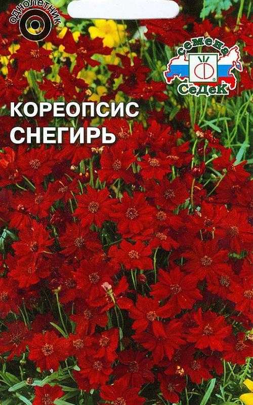 Обриета многолетняя: фото, посадка и уход, особенности выращивания в открытом грунте - sadovnikam.ru