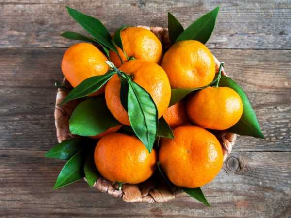 Что полезнее для здоровья лайм или лимон | польза и вред
