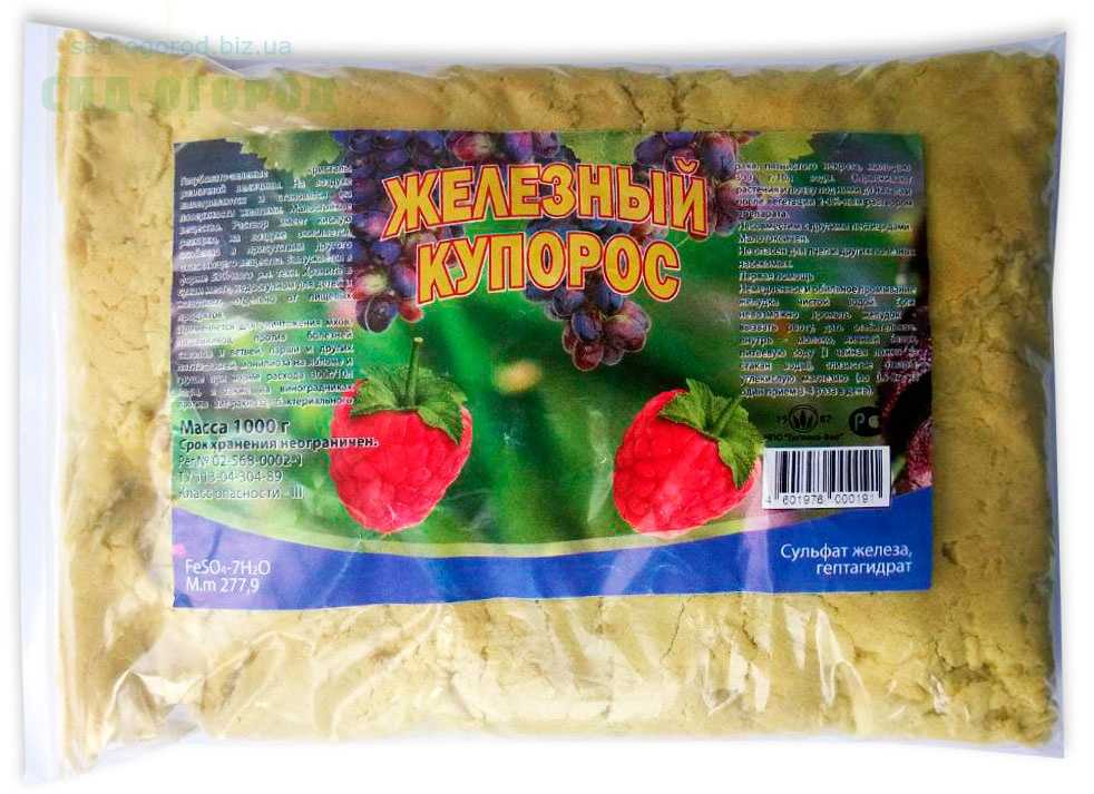 ᐉ как обработать розы осенью железным купоросом - godacha.ru