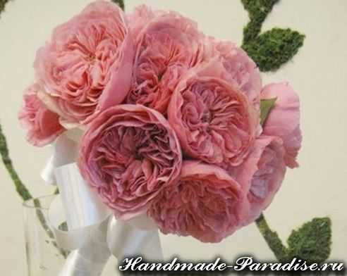 Английские розы – самый полный каталог сортов с описанием и фото