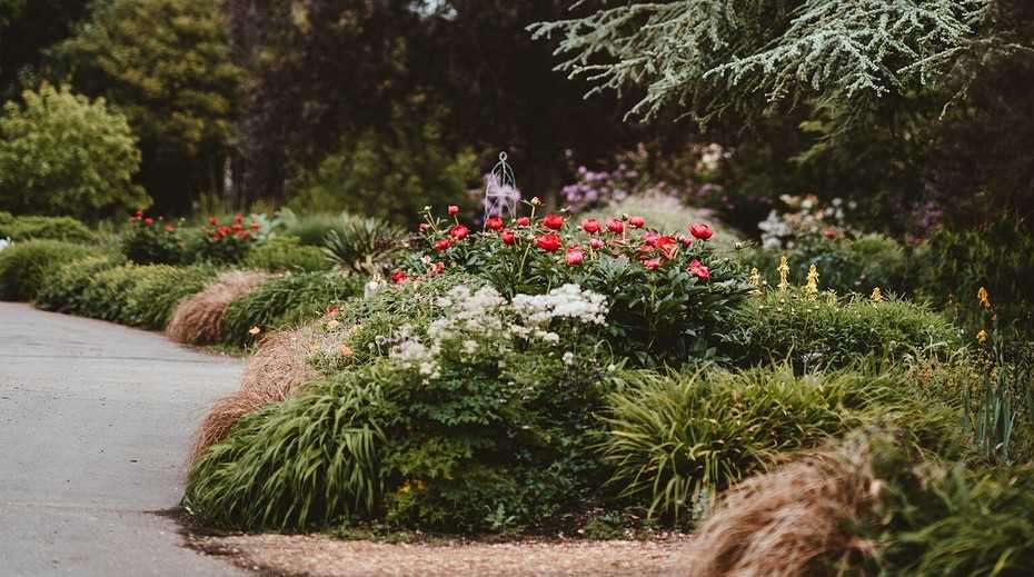 Лучшие тенелюбивые многолетники для темных участков сада + 3 идеи цветников