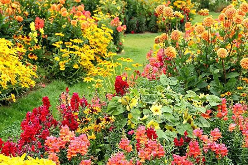 Многолетние цветущие и вечнозеленые кустарники для сада и дачи
