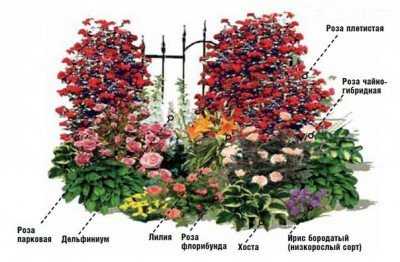 Красные пионы: лучшие сорта, их фото и описание Варианты применения цветов в ландшафтном дизайне Практические рекомендации по посадке и уходу