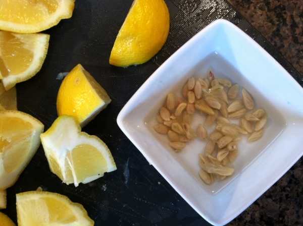Советы по уходу за лимоном, чтобы он плодоносил