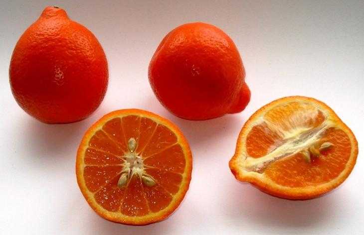 Лимон и лайм: разница цитрусов и их польза