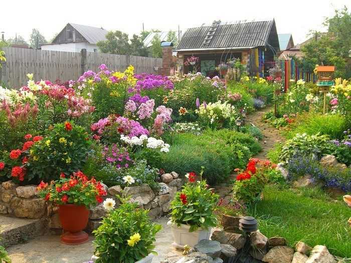 Многолетние цветущие кустарники для сада и огорода: названия и фото
