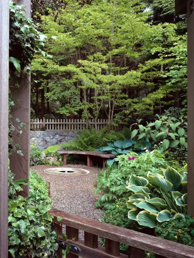 Хоста в ландшафтном дизайне: особенности ухода и гармоничные композиции для сада - огород, сад, балкон - медиаплатформа миртесен