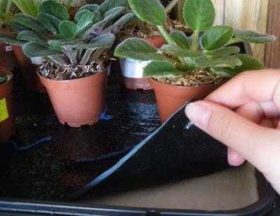 Как сделать автополив комнатных растений своими руками